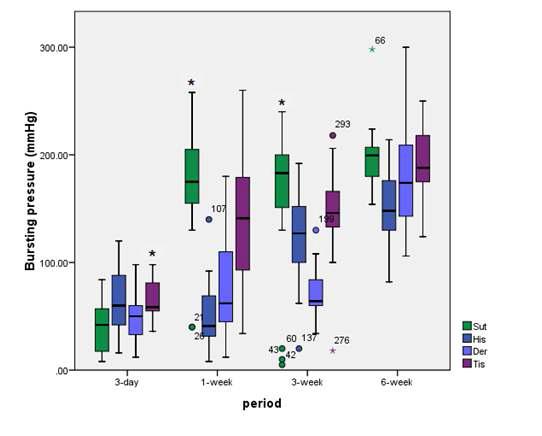 Bursting pressure of colonic anastomosis in the rat