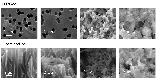 전자주사현미경을 이용하여 촬영한 표면 및 단면 사진 (a) Polycarbonate (b) Polyester (c) Mixed cellulose ester (d) Nylon