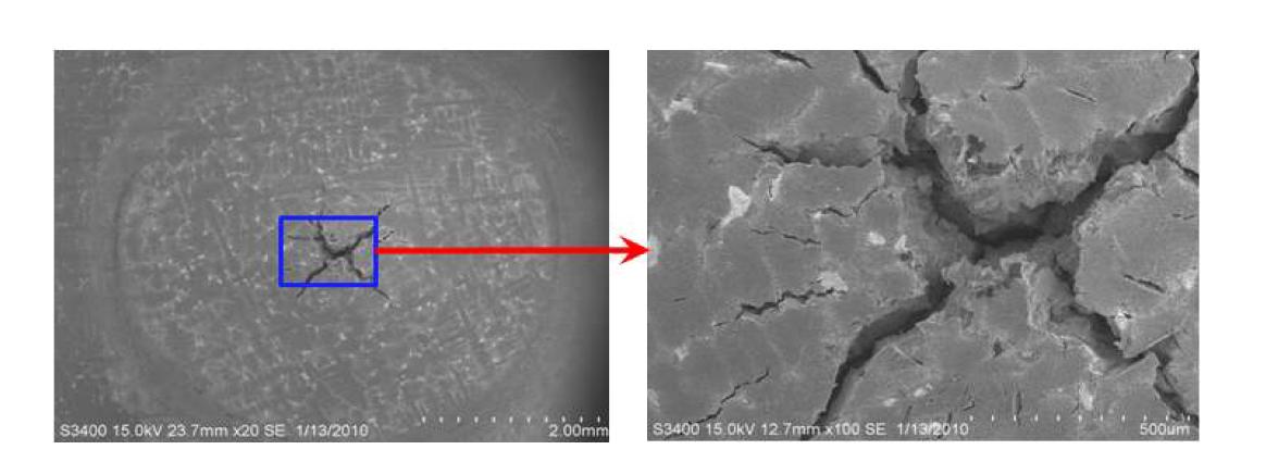 SP 크리프 시험 시편의 표면 SEM 사진, 실험 #9(Transverse, t=0.5mm, 760℃, 659N)