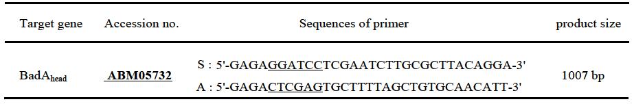 Primer sequences used in this study