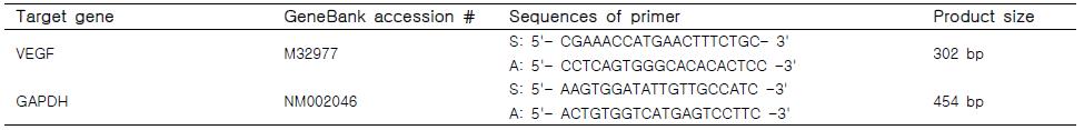 Primer sequence used in this study