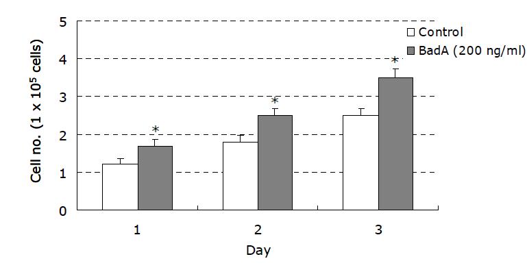 Proliferation assay of HUVECs treated with recombinant BadA protein for 1, 2 and 3 days.