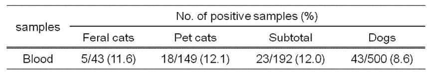 Prevalence of B. henselae infection in blood samples of cats and dogs