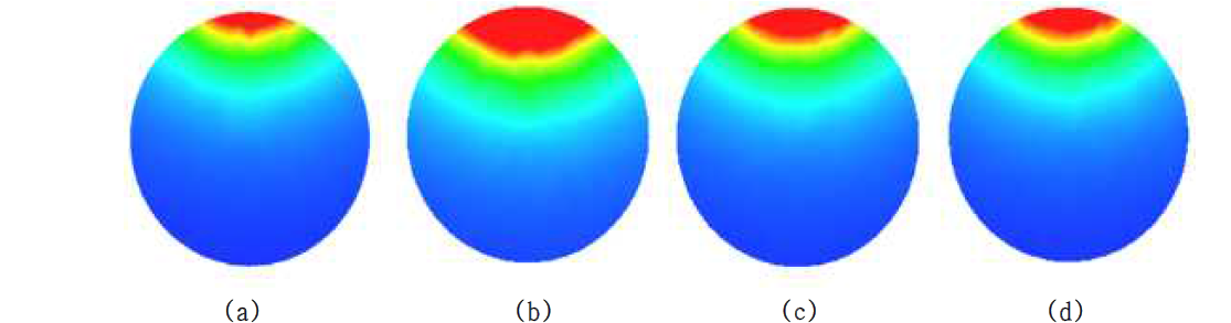 Circular 코일을 이용한 TMS 머리영역 자기장 해석 (coronal 영역) : (a) 모델 1, (b) 모델 2, (c) 모델 3, (d) 모델 4