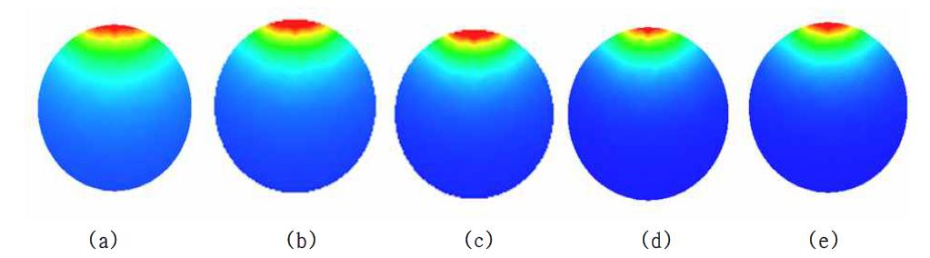 FOE 코일을 이용한 TMS 머리영역 자기장 해석 (coronal 영역) : (a) 모델 1, (b) 모델 2, (c) 모델 3, (d) 모델 4, (e) 모델 5