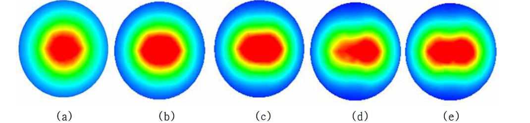 FOE 코일을 이용한 TMS 머리영역 자기장 해석 (axial 영역) : (a) 모델 1, (b) 모델 2, (c) 모델 3, (d) 모델 4, (e) 모델 5