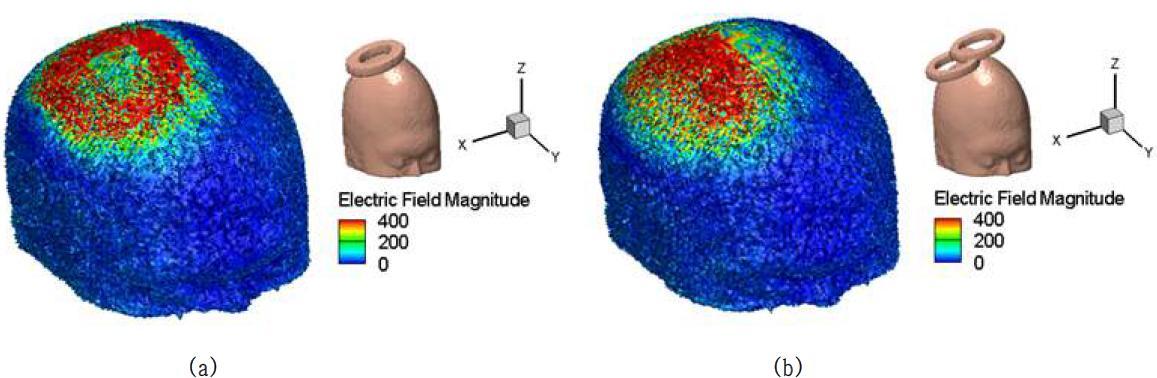 TMS 가이딩 시스템 소프트웨어를 이용하여 생성한 등방성 머리모델 및 코일 모델의 유도전기장 분포 및 세기 비교 : (a) circular 코일 모델, (b) FOE 코일 모델에 의해 자극된 머리표면