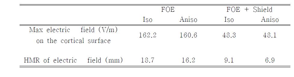 뇌 피질 표면에서 전기적 전도도 차이와 차폐판의 유/무에 따른 유도전기장 세기 및 집중도