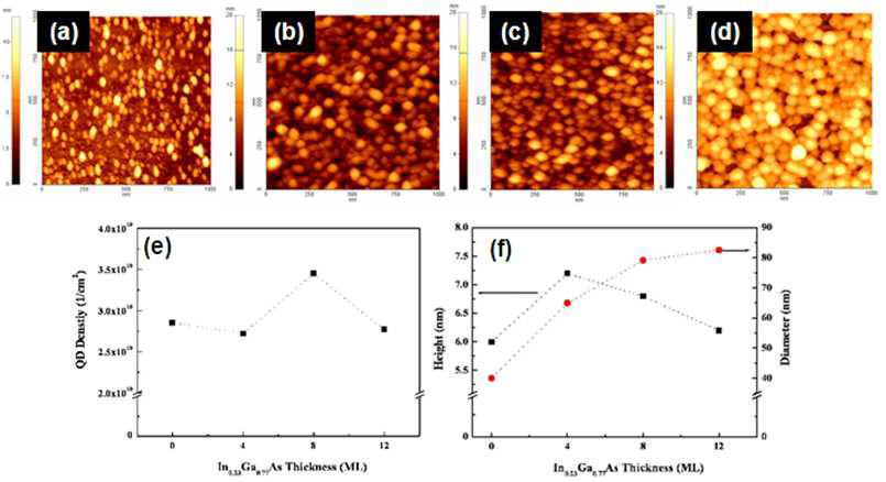 InGaAs 층의 두께에 따른 InAs 양자점/InGaAs/GaAs 구조의 AFM 결과 : (a) 0 ML, (b) 4 ML, (c) 8 ML, (d) 12 ML, (e) 양자점의 밀도 변화, (f) 양자점의 높이 및 크기 변화