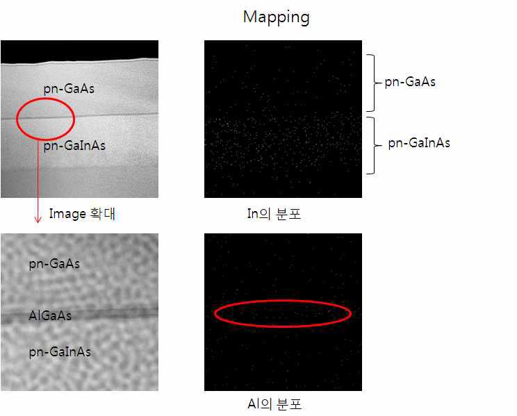 EDX로 성분 분석한 mapping 이미지