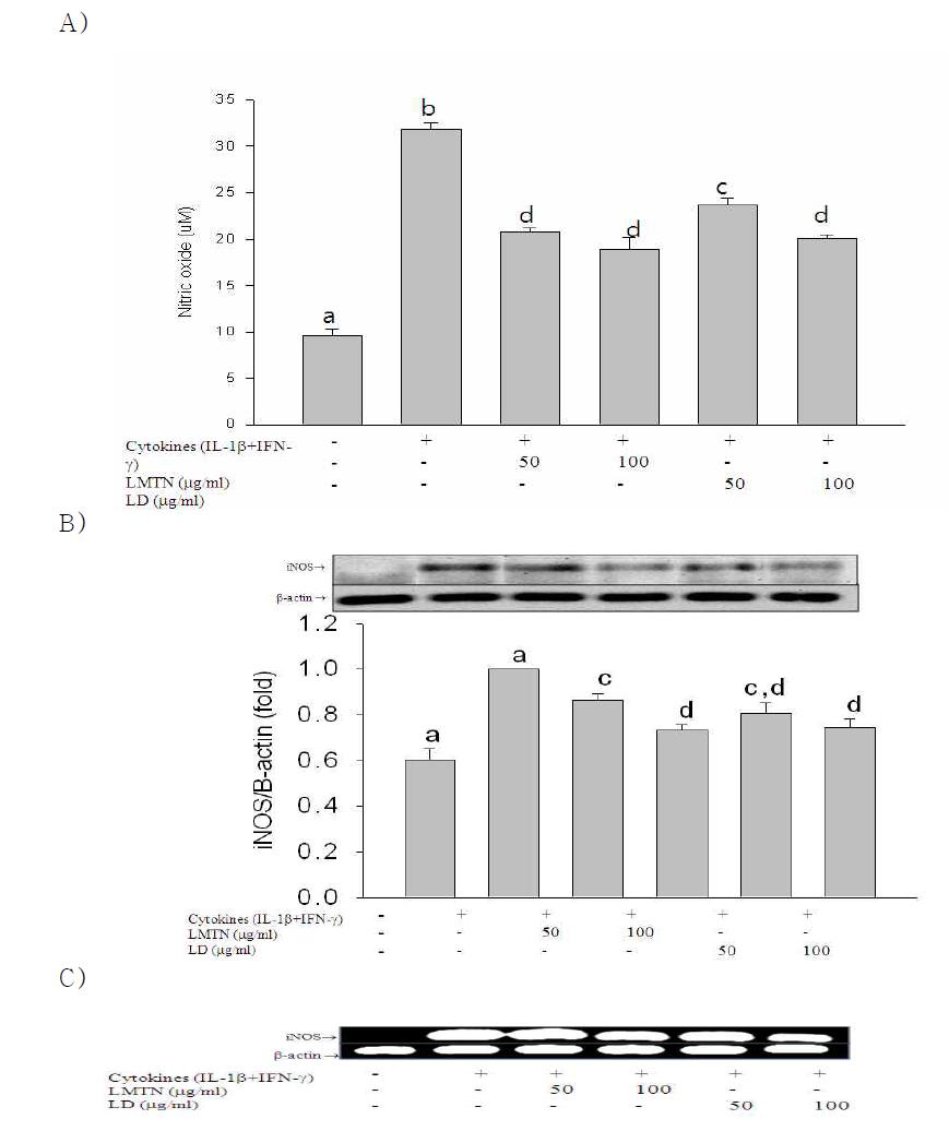 Effect of 80% MeOH LMTN(삼색싸리) or LD(호비수리) extracts on NO production(A) and iNOS protein(B) or mRNA(C) expression levels in RINm5F cells.