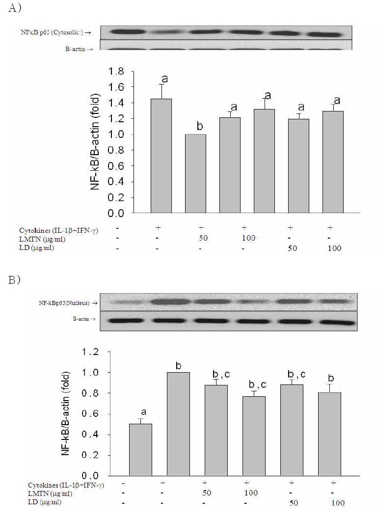 Effect of 80% MeOH LMTN(삼색싸리) or LD(호비수리) extracts on NF-kB expression of cytosol(A) and nucleus(B) in RINm5F cells.