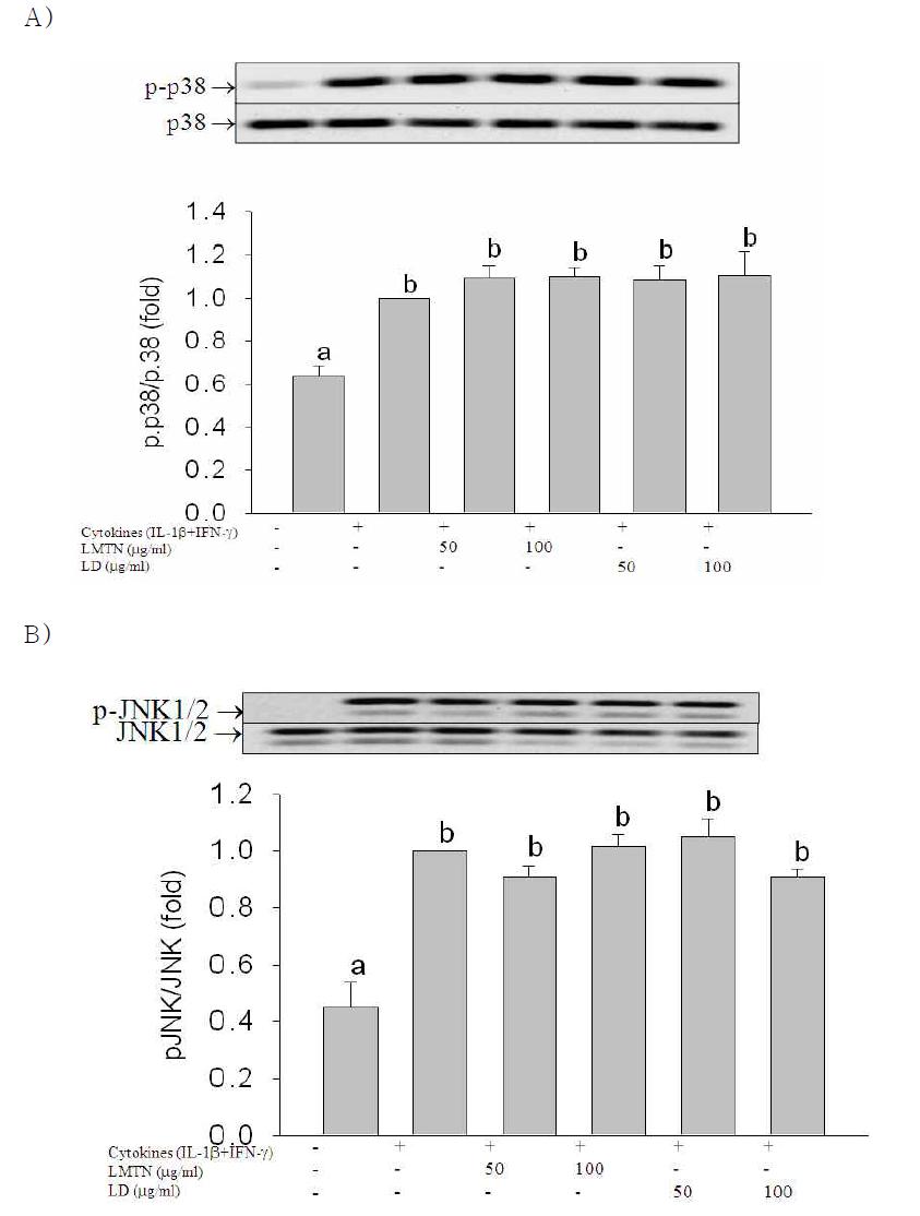 Effect of 80% MeOH LMTN(삼색싸리) or LD(호비수리) extracts on MAPK expression in RINm5F cells.
