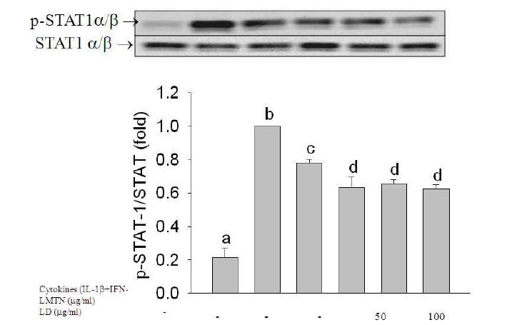 Effect of 80% MeOH LMTN(삼색싸리) or LD(호비수리) extracts on STAT expression in RINm5F cells.