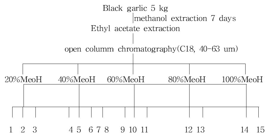 Isolation procedure of black garlic.