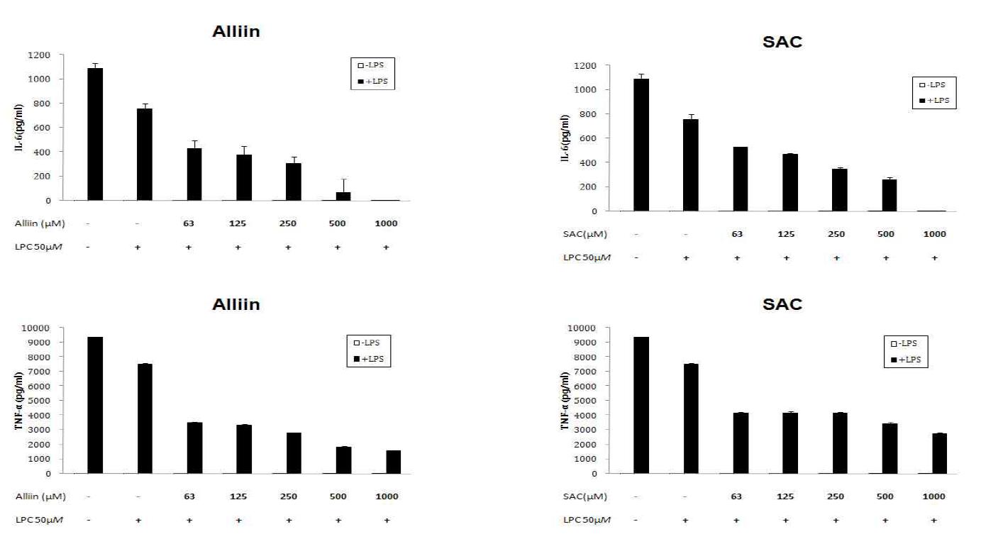 Effect of alliin, SAC(S-allyl-L-cysteine) of garlic on the pro-inflammatory cytokines (IL-6, TNF-α) of RAW 264.7 cells.