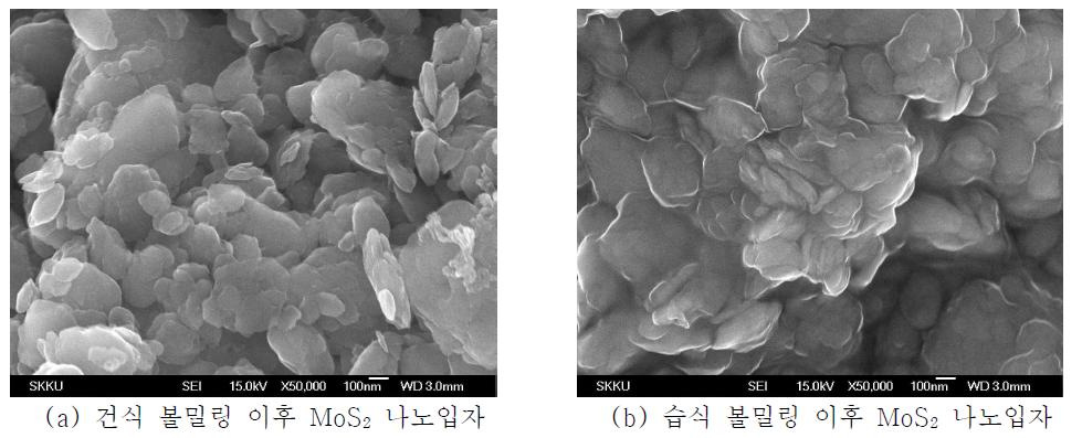 MoS2 나노입자의 전자주사현미경 사진