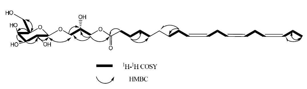 The structure and key 1H-1H COSY and HMBC correlations of compound 2.