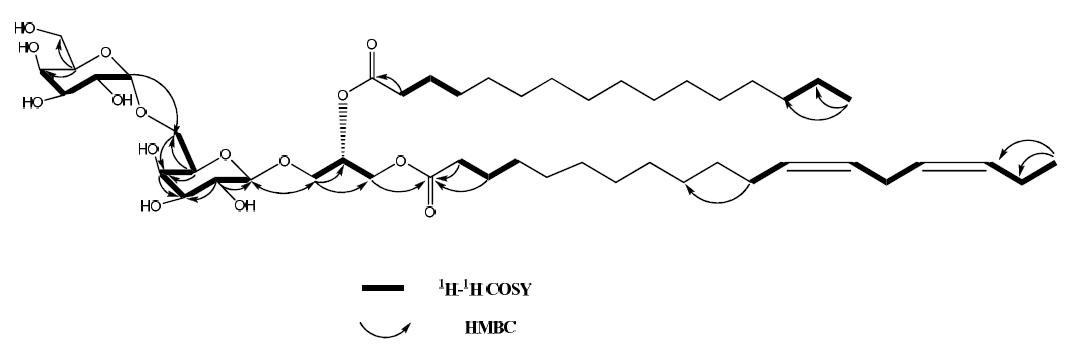 The structure, and key 1H-1H COSY and HMBC correlations of compound 3