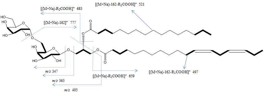 Mass fragmentation pattern in compound 3