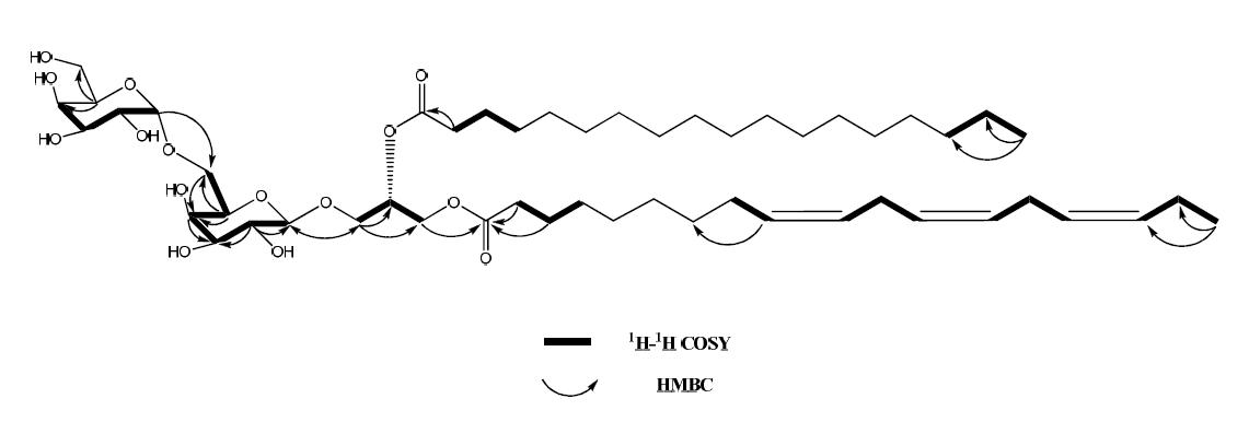 The structure, and key 1H-1H COSY and HMBC correlations of compound 4