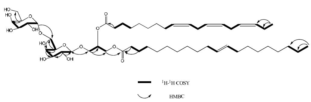 The structure, and key 1H-1H COSY and HMBC correlations of compound 5