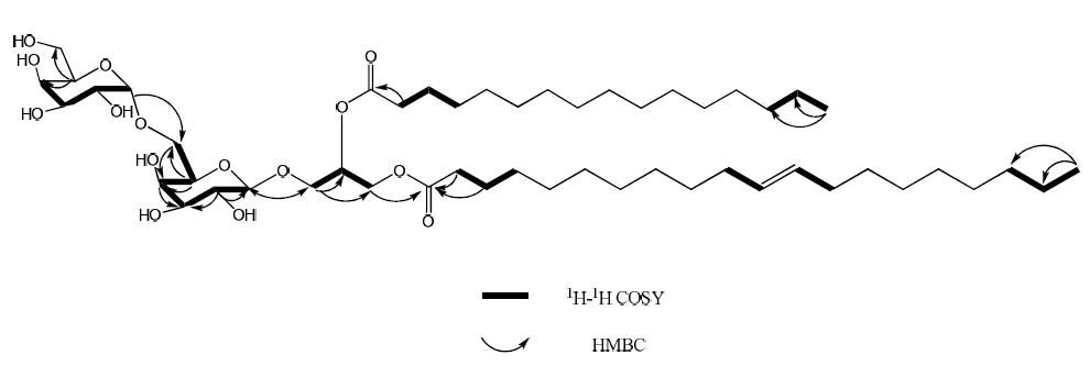 The structure, and key 1H-1H COSY and HMBC correlations of compound 6