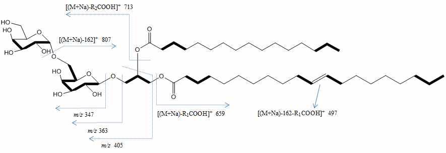 Mass fragmentation pattern in compound 6