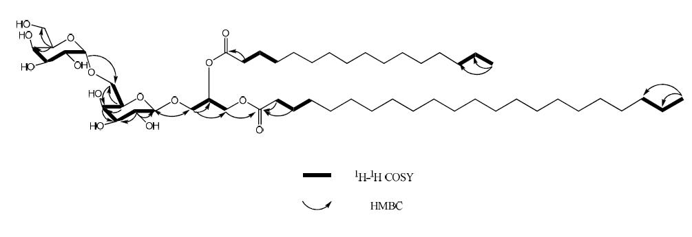 The structure, and key 1H-1H COSY and HMBC correlations of compound 7