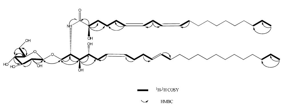 The structure, and key 1H-1H COSY and HMBC correlations of compound 8