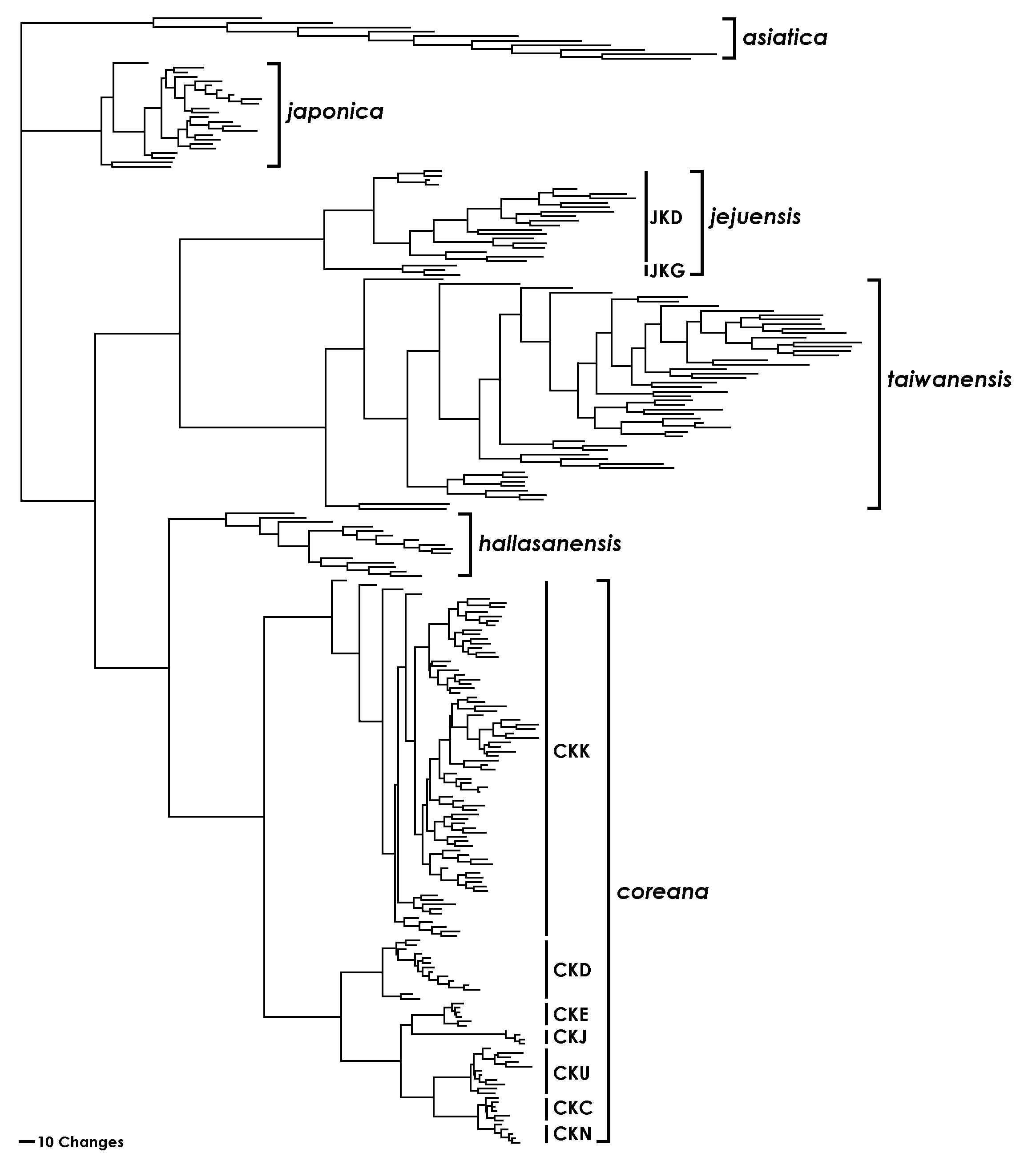 Neighbour-joining dendrogram on 251 individuals from 16 populations of East Asian Isoetes species based on AFLP markers using PAUP 4.02 (Swofford, 1998). Branch lengths are indicated the proportion to the amount of character change along each branch (from Kim et al., 2009b).