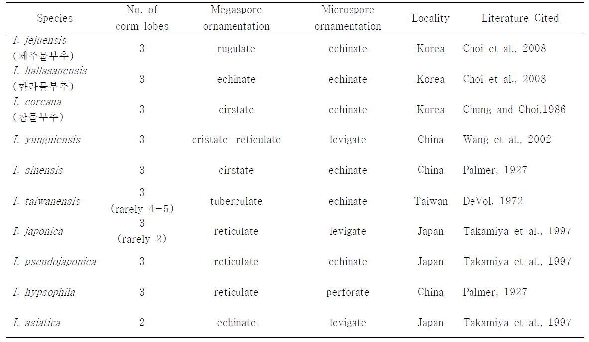 Comparison of diagnostic morphological characters between two new species (I. jejuensis and I. allasanensis) and the other Isoetes species from East Asia (modified from Choi et al., 2008)