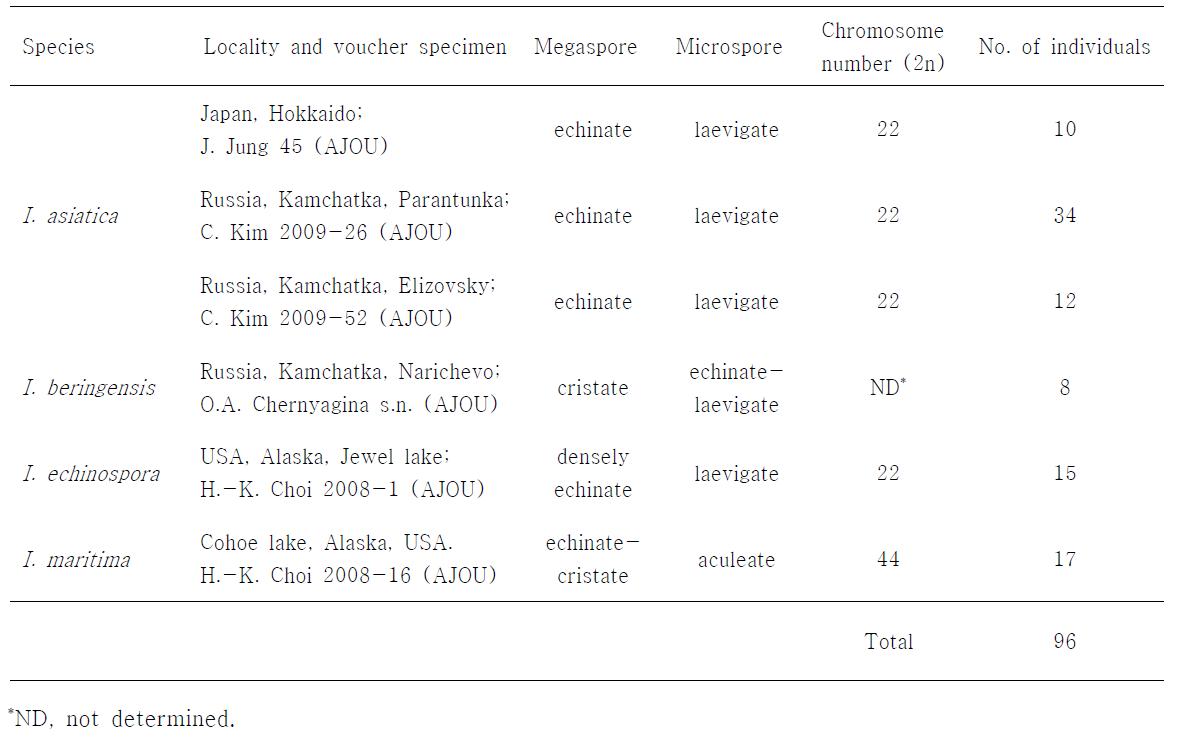 Collection data, spore ornamentation and chromosome number of plant material used for systematic evaluation of I. asiatica.