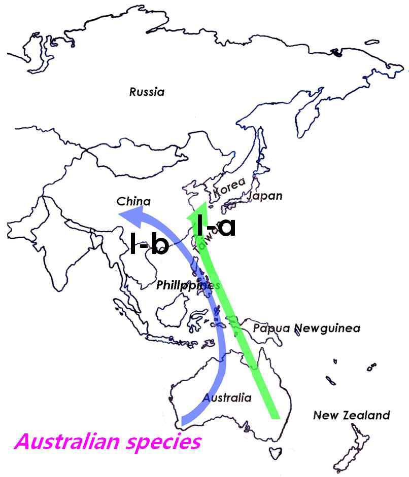 A map showing biogeographic origin of East Asian Isoetes species. With respect to phylogenetic relationship of Isoetes species based on the nrITS sequences data, we support that the Australian species probably was a center of origin for East Asian taxa including I. coreana, I. hallasanensis, I. jejuensis, I. japonica, I. pseudojaponica, I. sinensis, I. taiwanensis, I. taiwanensis, I. yunguiensis, and I. hypsophila. Symbols I-a, I-b for the subclades are provided in Fig. 36.