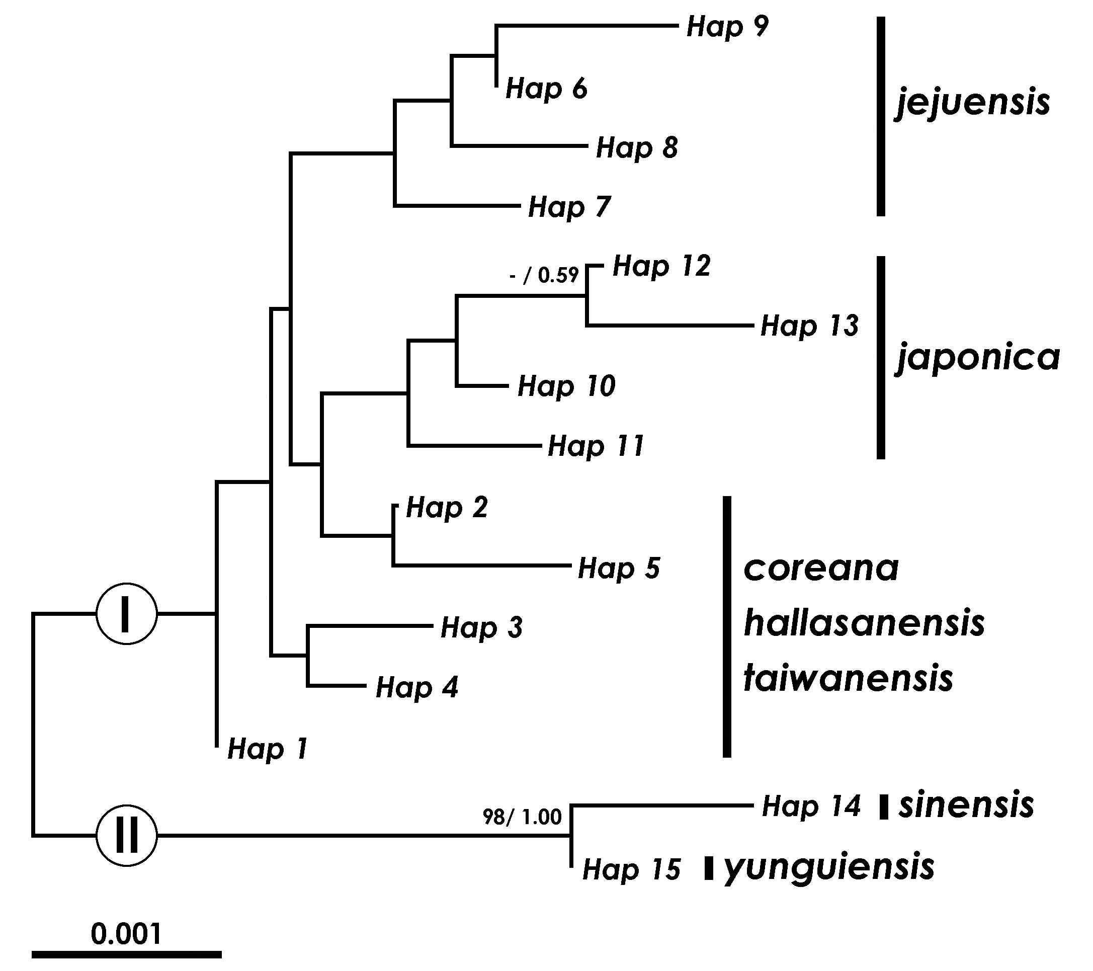 Neighbour-joining(NJ) dendrogram for 15 haplotypes from 17 populations of seven Isoetes species based on sequence data for the chloroplast DNA trnS-psbC spacer region. The scale bar represents p-distance. Number above nodes indicate support value(MP bootstrap/Bayesian posterior probality); a dash indicated that a node was not retrieved with bootstrap value greater than 50% by MP analysis (Kim et al., 2010b).