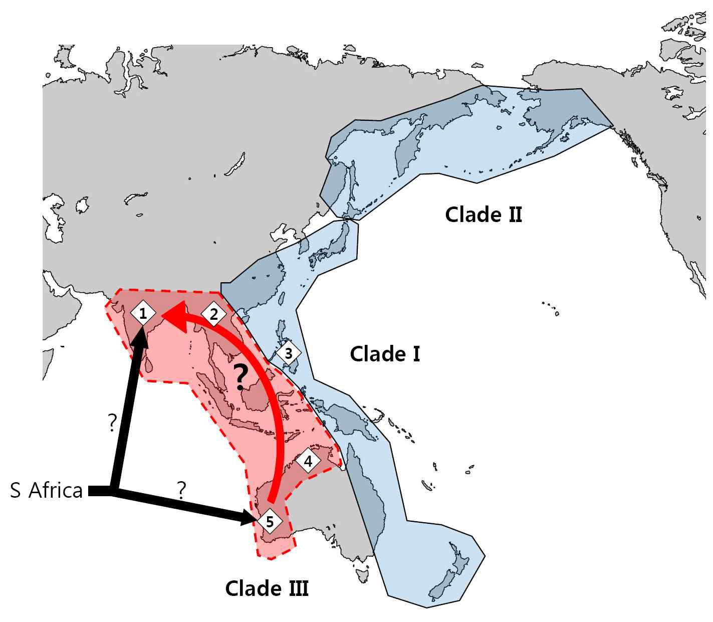 Representation of phylogeny and dispersal hypothesis of Isoetes species. Black arrows indicate hypothesis for origin (Hoot et al., 2006). Red arrow indicates dispersal hypothesis in this study. Distributions of Isoetes species are shown as numericals (1. India; 2. Laos; 3. Philippines; 4. North Australia; 5. West Australia). Clade I and II of East Asian Isoetes were performed in this project.
