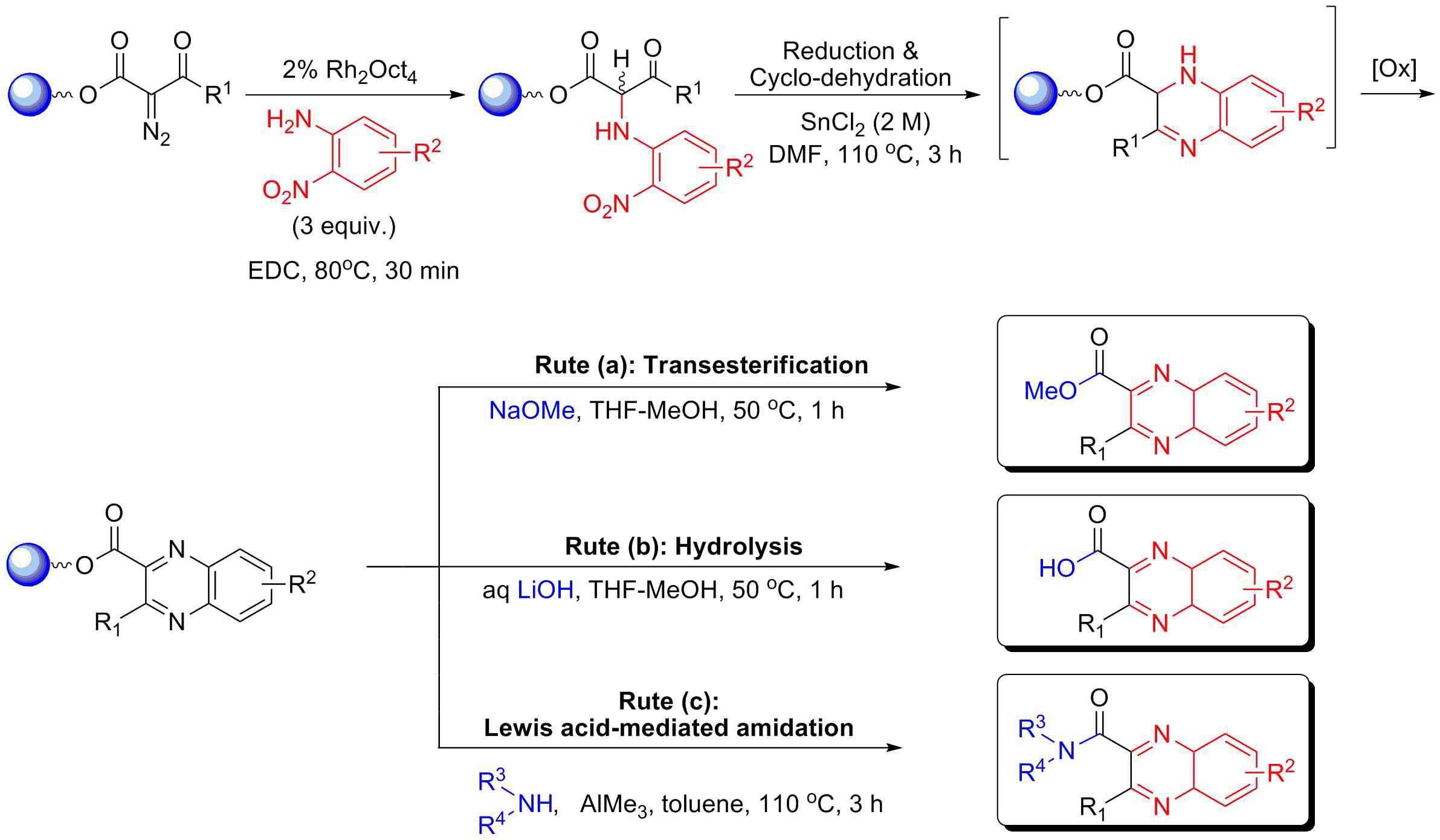 Common precursor approach: Solid-phase synthesis of quinoxalines from polymer-bound α-diazo-β-ketoesters, o-nitroanilines and amines