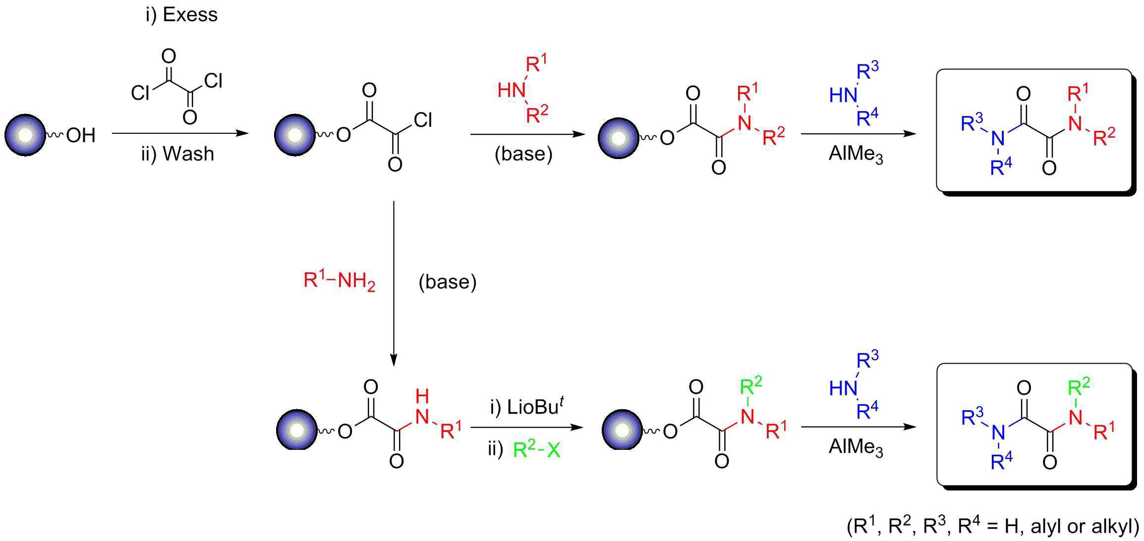 Smart cleavage reaction: Solid-phase synthesis of unsymmetrical oxalyl bis-amides