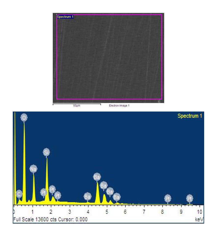 SEM micrograph and EDS result for of Ba20B glass surface before reaction.