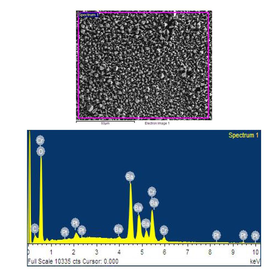 SEM micrograph and EDS result for of Ba20B glass surface reacted with a solution containing Cr6+ ion.