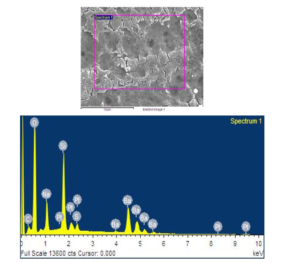 SEM micrograph and EDS result for of Cr-2 glass surface reacted with a solution containing Cr6+ ion.