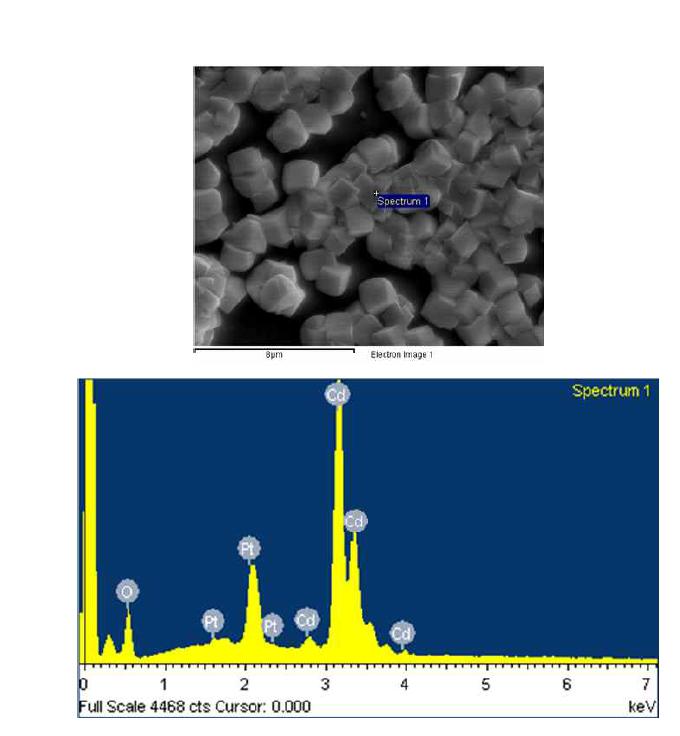 EDAX analysis of Cd-3 glass surface reacted in a solution containing Cd2+ ion.