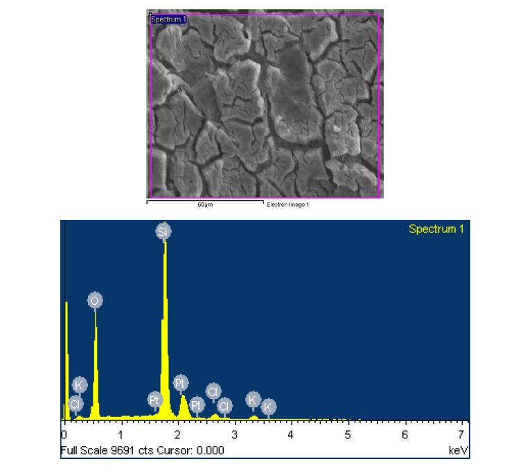 EDAX analysis of silica-rich surface of Cd-3 glass reacted in a solution containing Cd2+ ion.