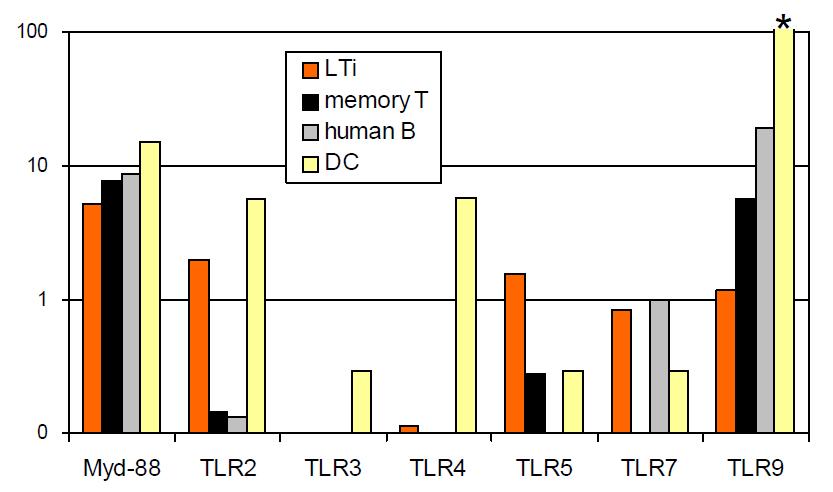 Human LTi 세포의 Toll-like receptors (TLR)의 발현