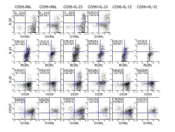 FACS analysis of intracellular IL-22 and ROR, and surface OX40L, CD25, and CD127 (IL-7α) expression in control and IL-23- or IL-12- activated CD56- (CD117+CD3-CD56-) and CD56+ (CD117+CD3-CD56+) cells.