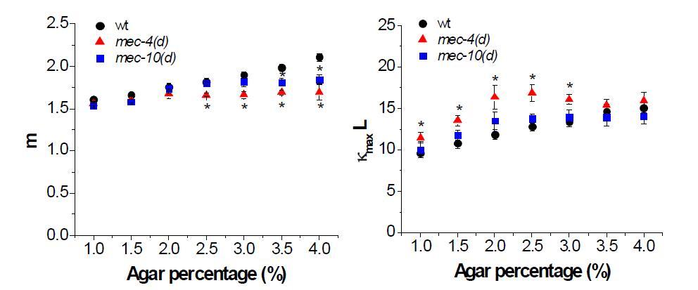 (a) wild-type (wt)과 mutant들의 agar %에 따른 (a) m의 분포와 (b) κmax․L의 분포
