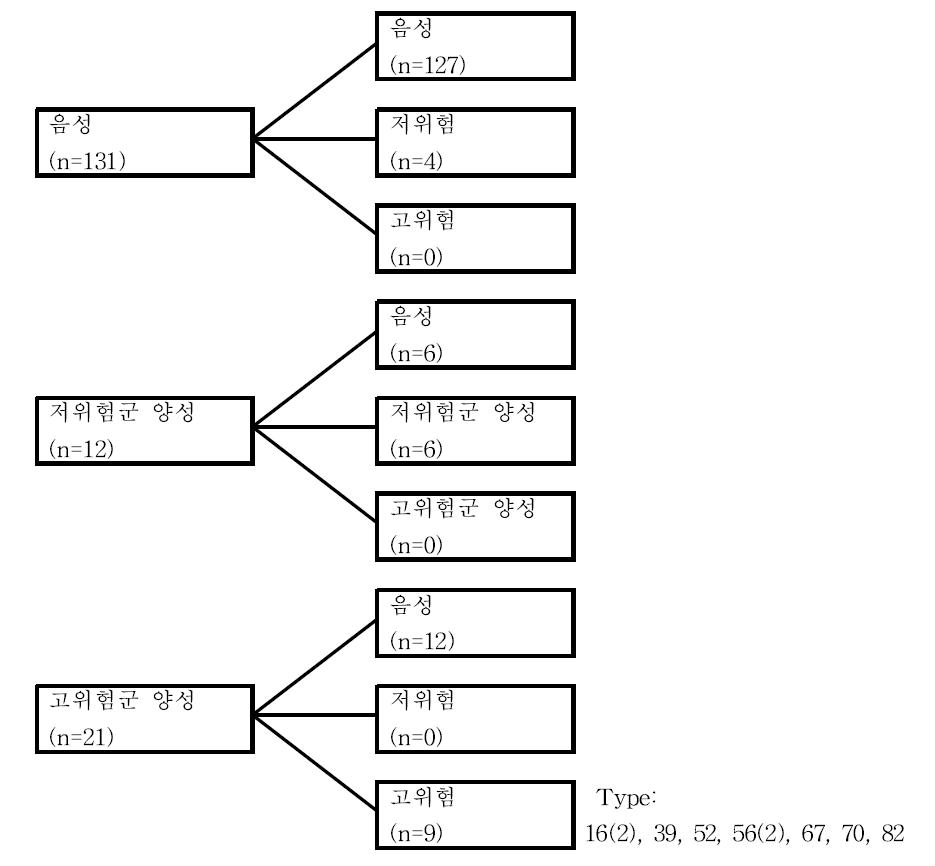 임신 2분기와 3분기 사이 HPV 감염의 변화