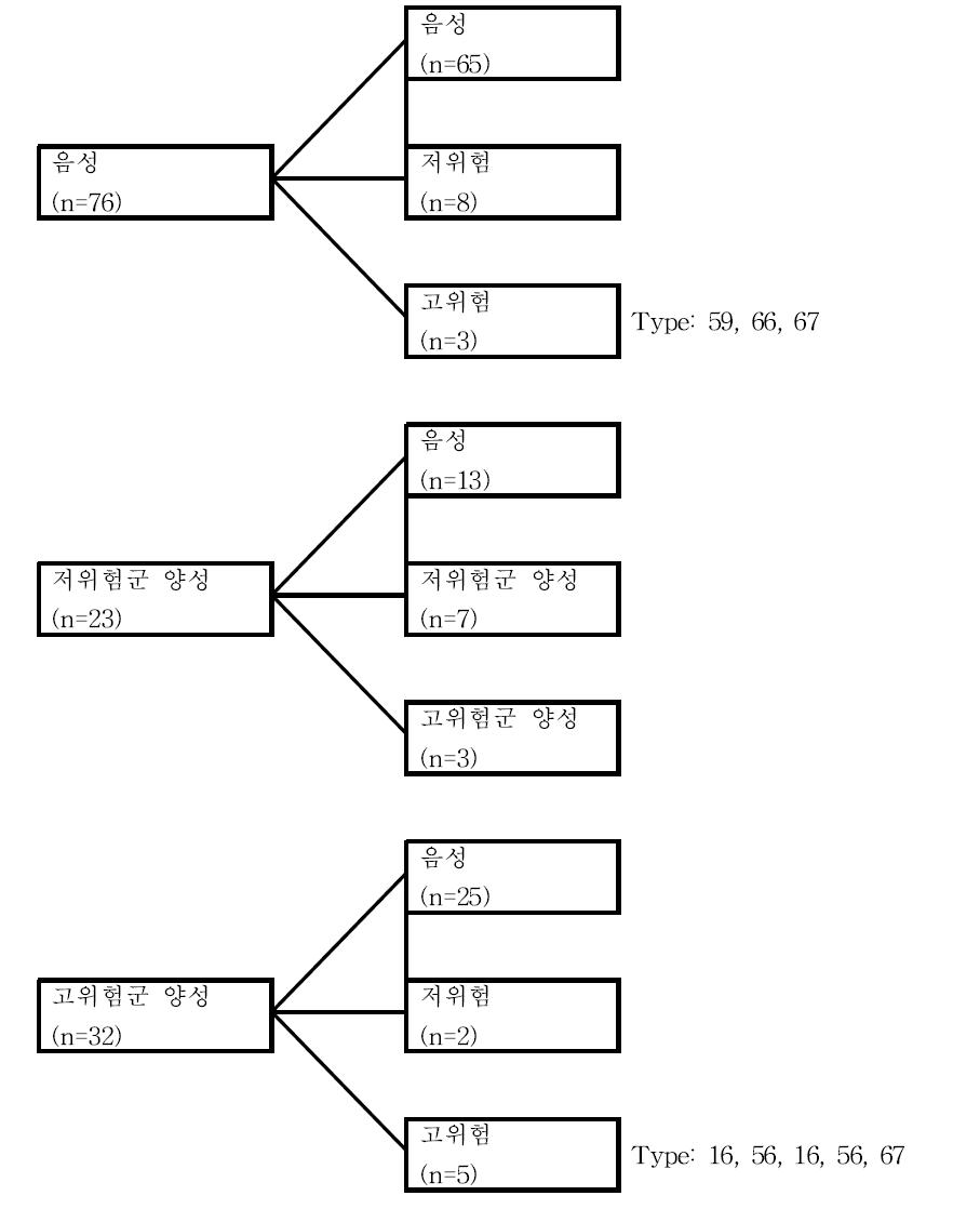 임신 전 후 HPV 감염의 변화