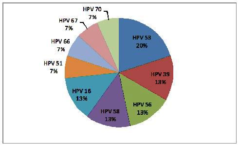 임신 중 새로 감염을 일으킨 HPV type