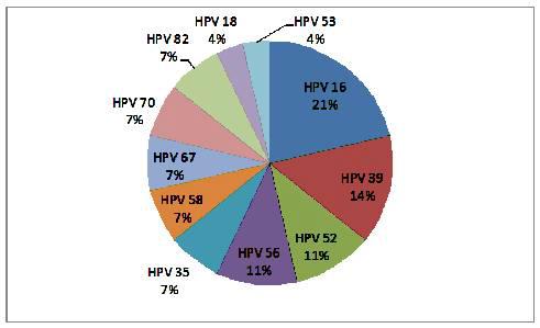 임신 중 지속 감염을 일으킨 HPV type